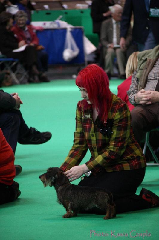 Crufts2011_2 916.jpg